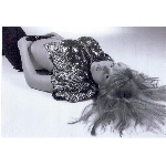 missnet-sejmout0008.jpg
Počet zobrazení: 1516 (6734.2397 dní) pr.=0.2251
Rozměr: 874 x 600 pixel
Velikost: 73.71 kB