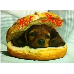 hotdog.jpg
Poet zobrazen: 3684 (6386.2087 dn) pr.=0.5769
Rozmr: 550 x 403 pixel
Velikost: 24.509 kB