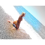 d11.jpg
Po�et zobrazen�: 1430 (5706.6648 dn�) pr.=0.2506
Rozm�r: 600 x 450 pixel
Velikost: 191.148 kB