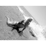 d5.jpg
Po�et zobrazen�: 1349 (5706.6651 dn�) pr.=0.2364
Rozm�r: 600 x 450 pixel
Velikost: 142.136 kB