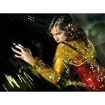 111092479.jpg
Počet zobrazení: 1528 (6491.0504 dní) pr.=0.2354
Rozměr: 600 x 449 pixel
Velikost: 240.197 kB